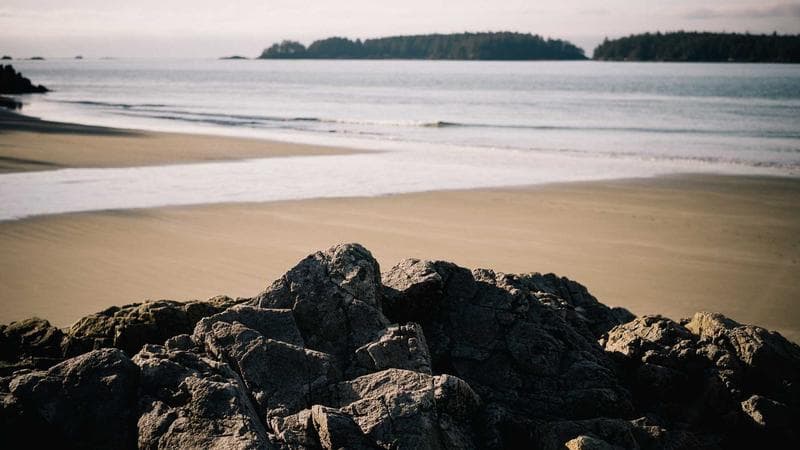 Reyes Auto Detailing